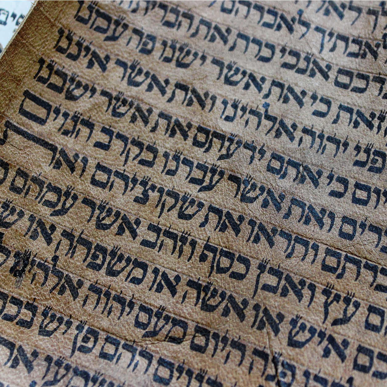 Every Dictionary You Need to Study Hebrew and Aramaic Texts